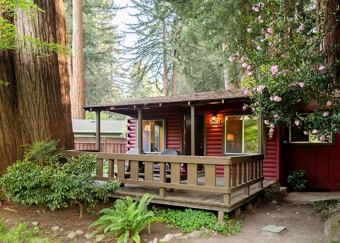 Fern River Resort